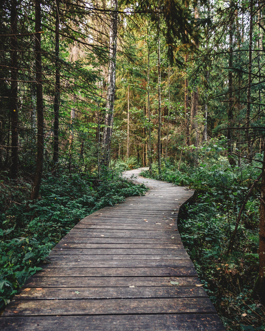 7 Powerful Ways to Remember Past Lives and Unlock Soul Memories