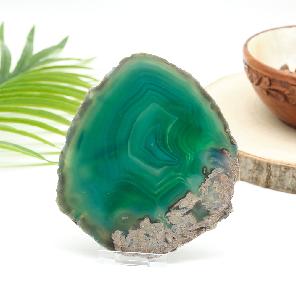Large Green Agate Slice With Stand