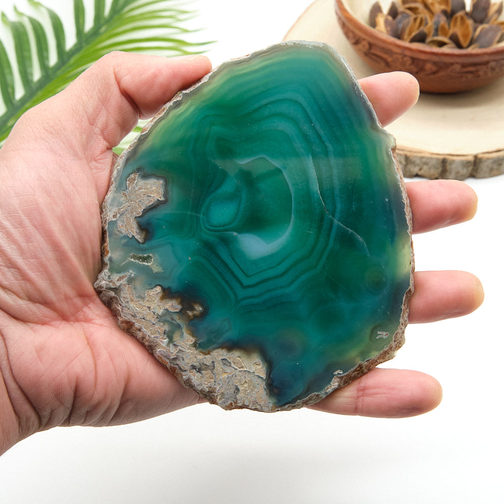Large Green Agate Slice With Stand