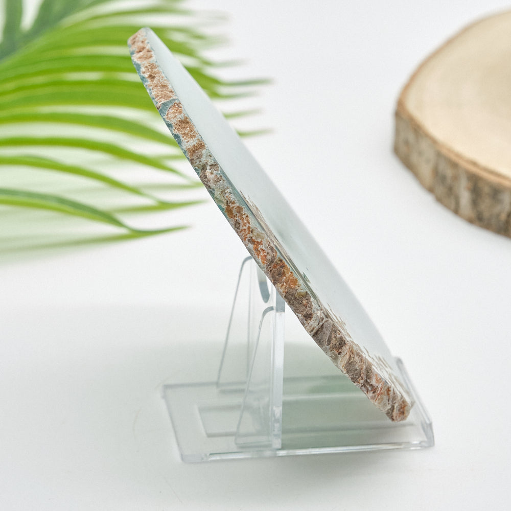 Large Green Agate Slice With Stand