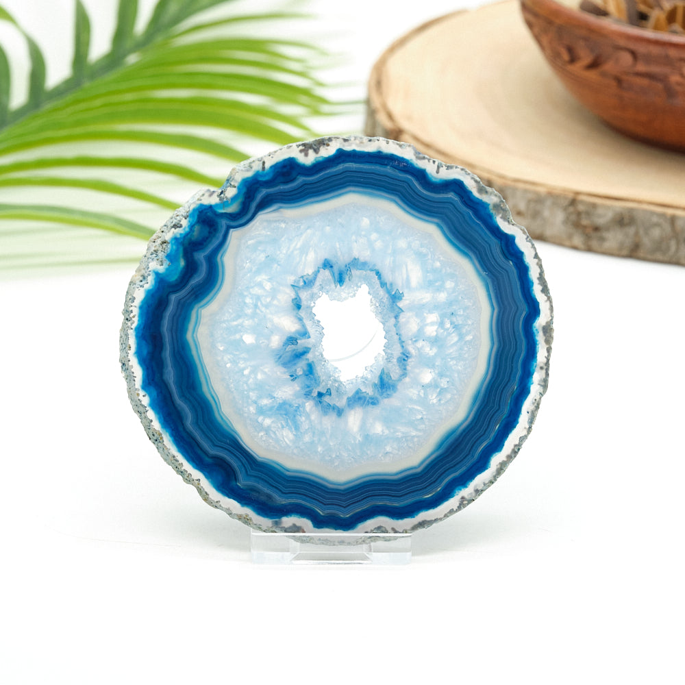 Blue and white agate slice on a clear stand with a natural background