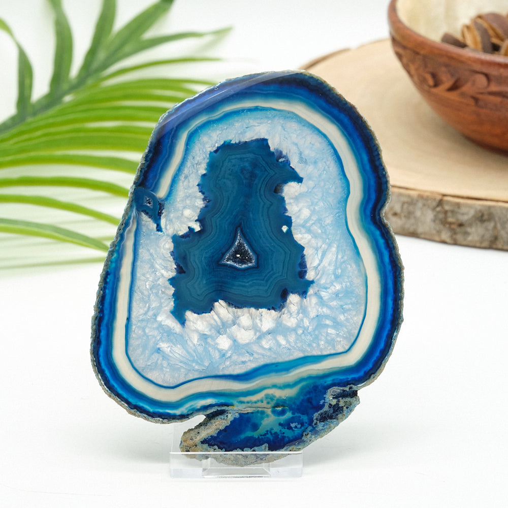 Blue and white agate slice on a stand with a natural background