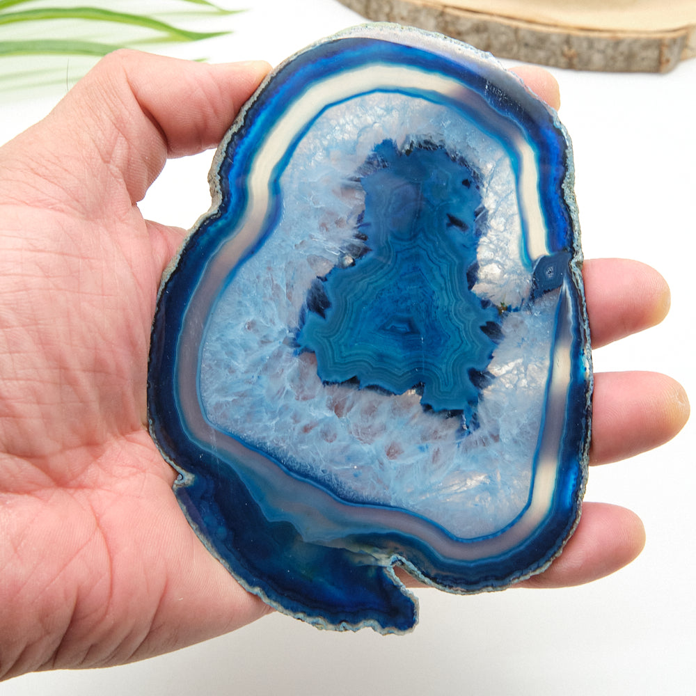 Hand holding a blue agate slice against a neutral background
