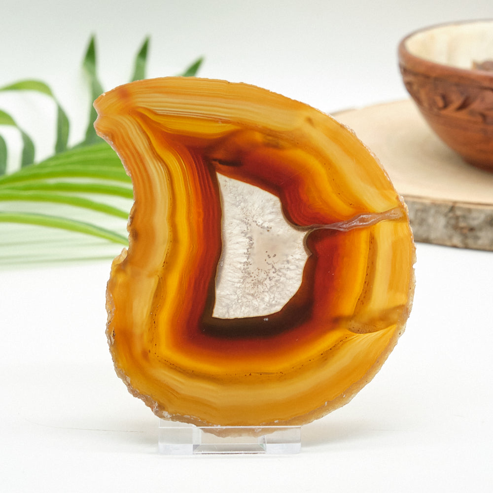 Agate stone with layered colors on a white background