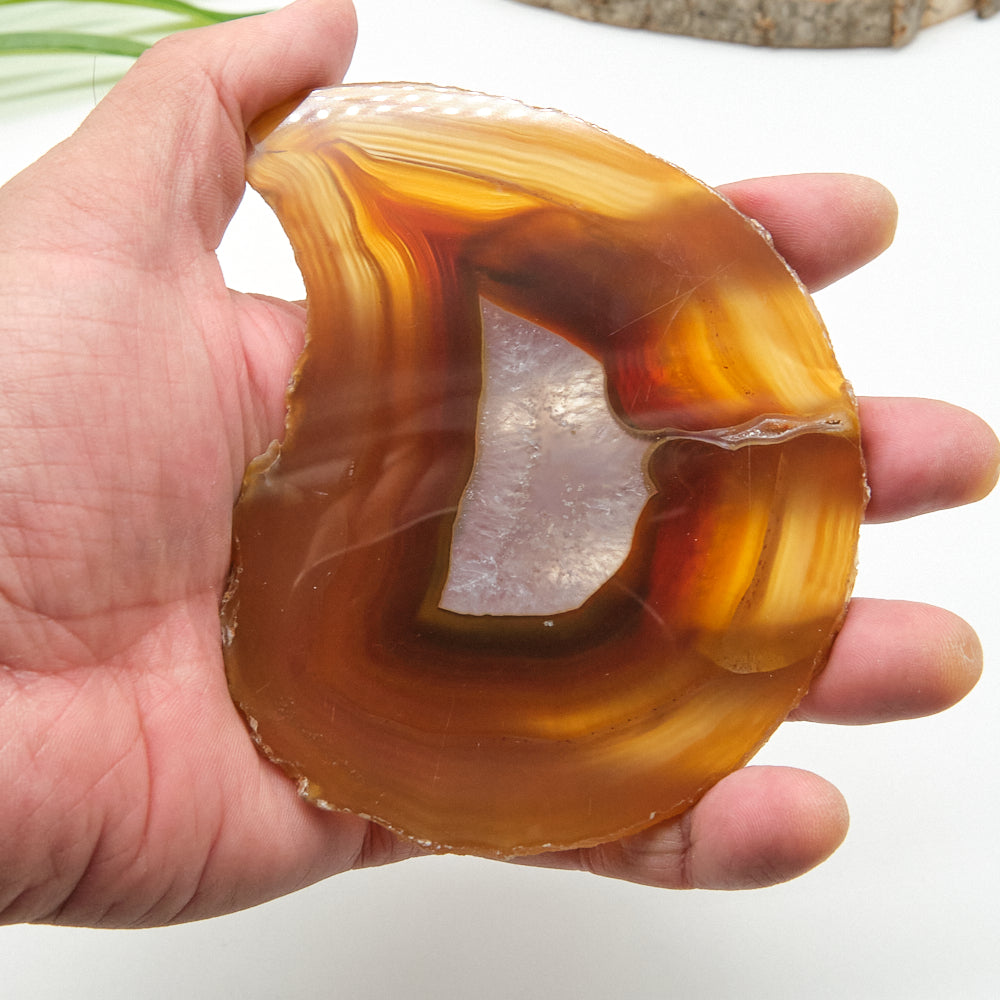 Hand holding a polished agate stone with brown and white patterns