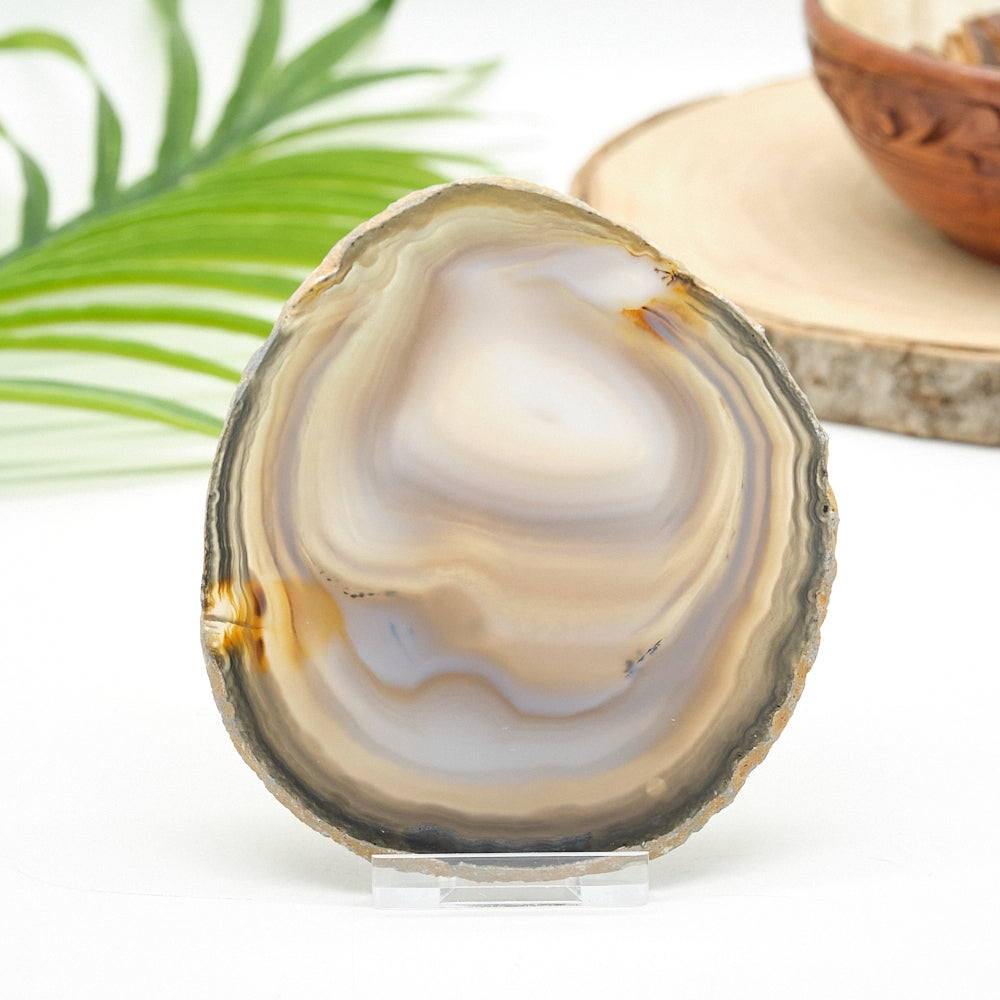 Close-up of a polished agate stone with a natural background