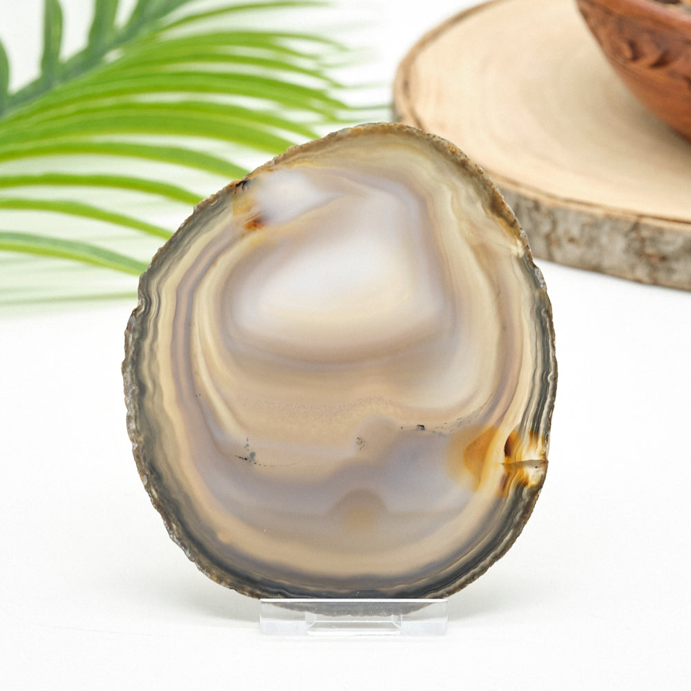 Close-up of a polished agate stone with a natural background