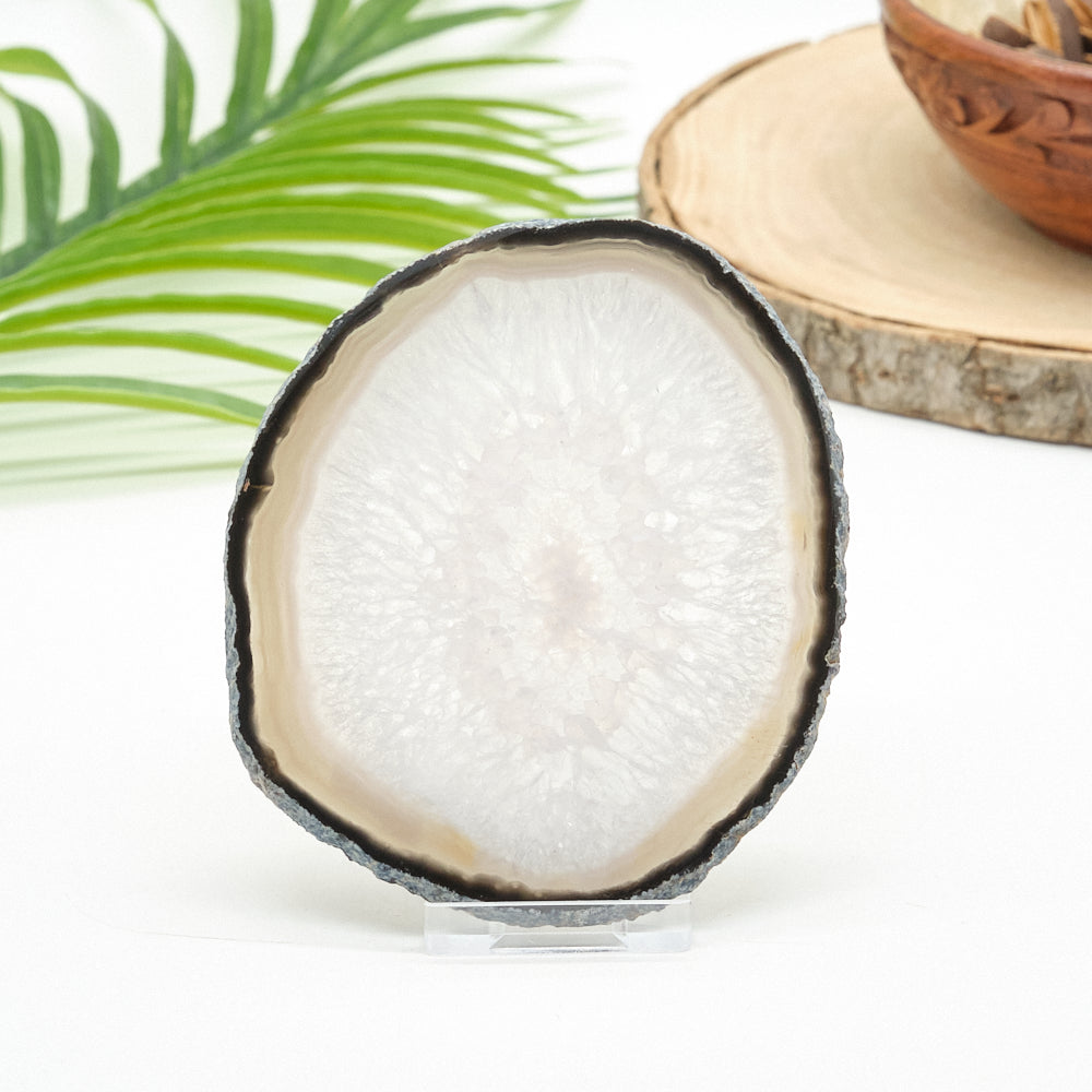 natural agate slice with wooden bowl and green leaves in the background
