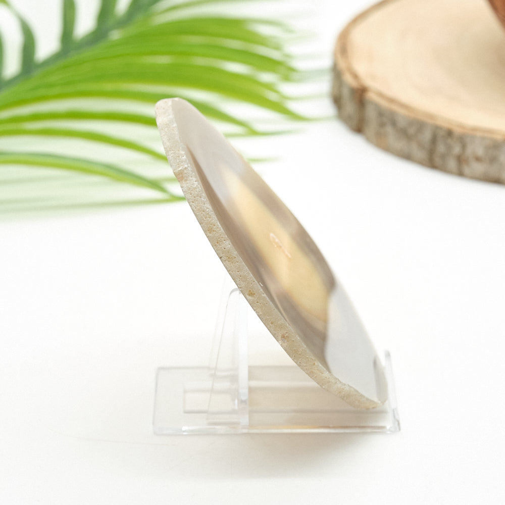 Large Natural Agate Slice With Stand 4 x 4 Inches
