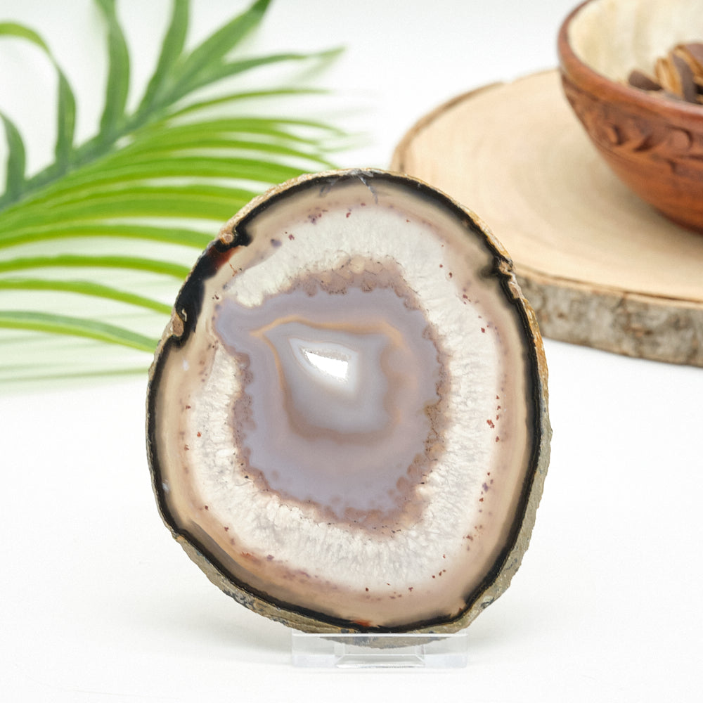 Close-up of a natural agate slice with a natural background