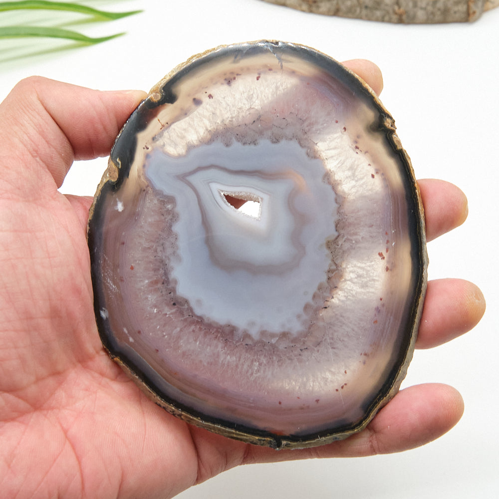 Hand holding a sliced agate stone with concentric patterns