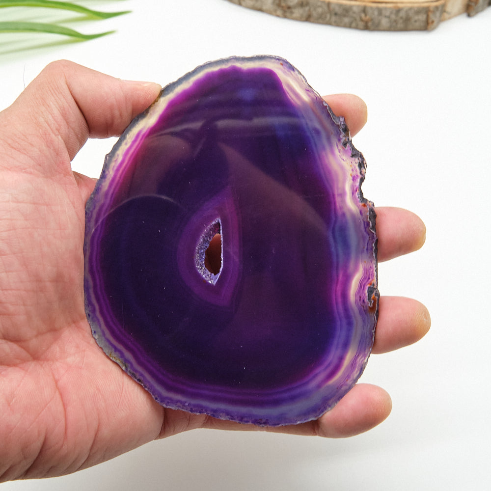Hand holding a purple agate slice against a white background