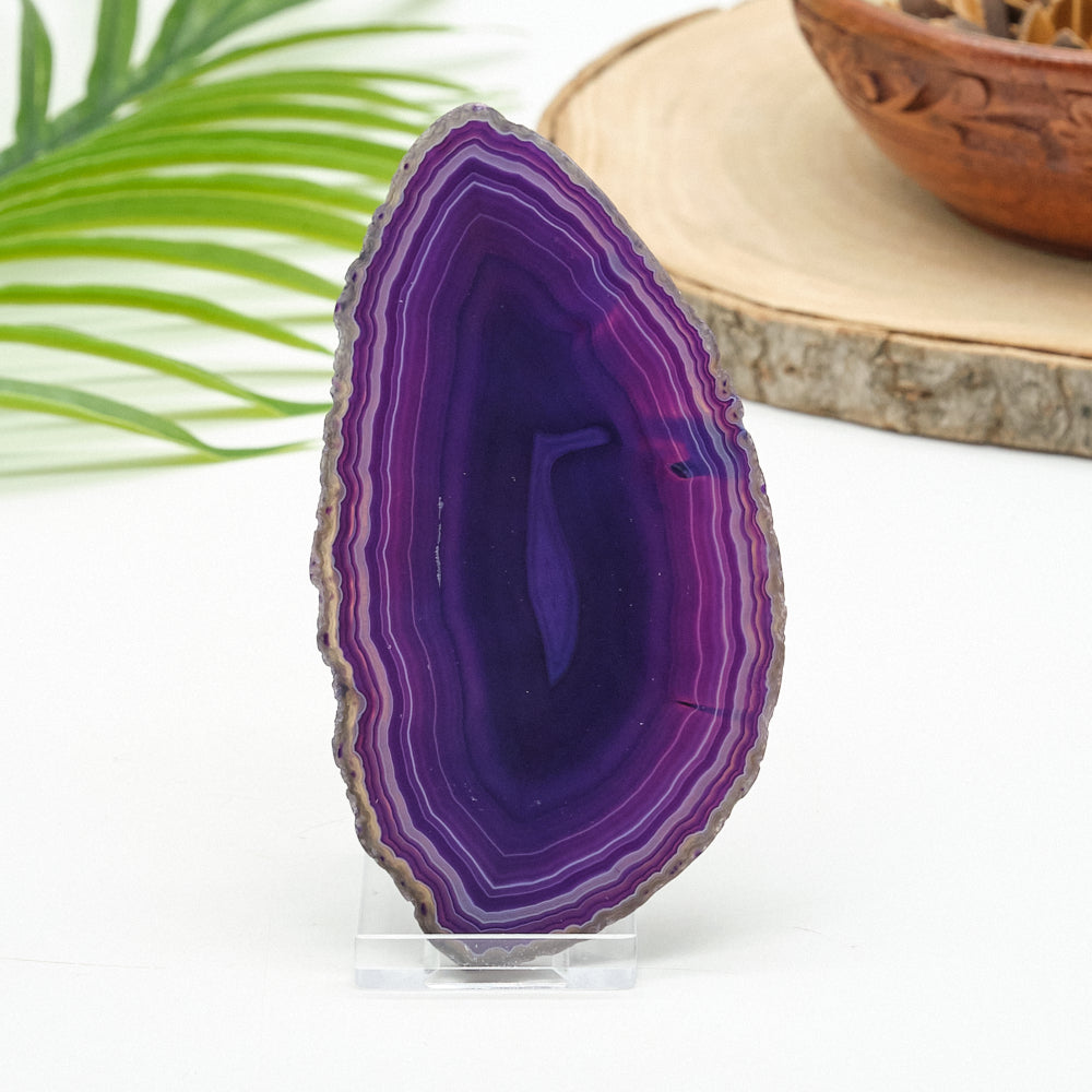 Purple agate slice on a white background with a plant and wooden object in the background