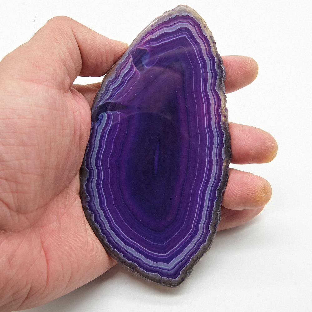 Hand holding a purple agate slice against a white background