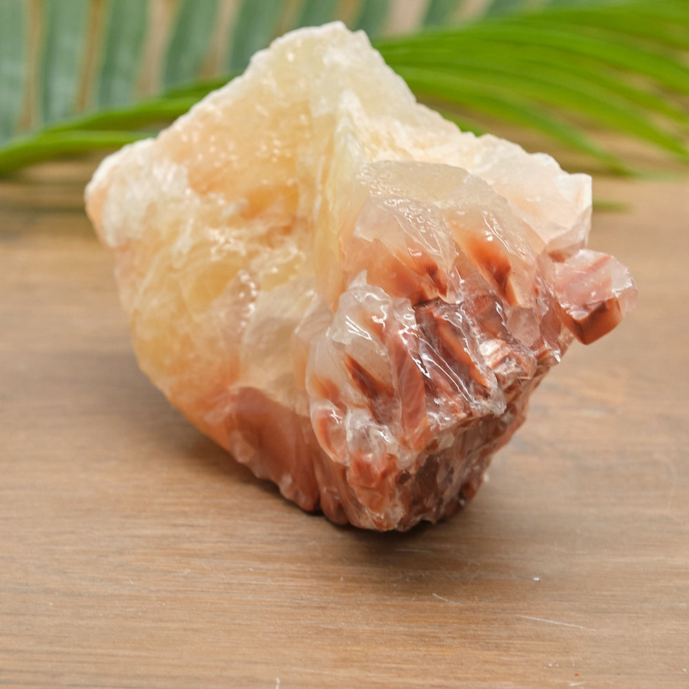 yellow red calcite in plastic on a wooden surface with green leaves in the background