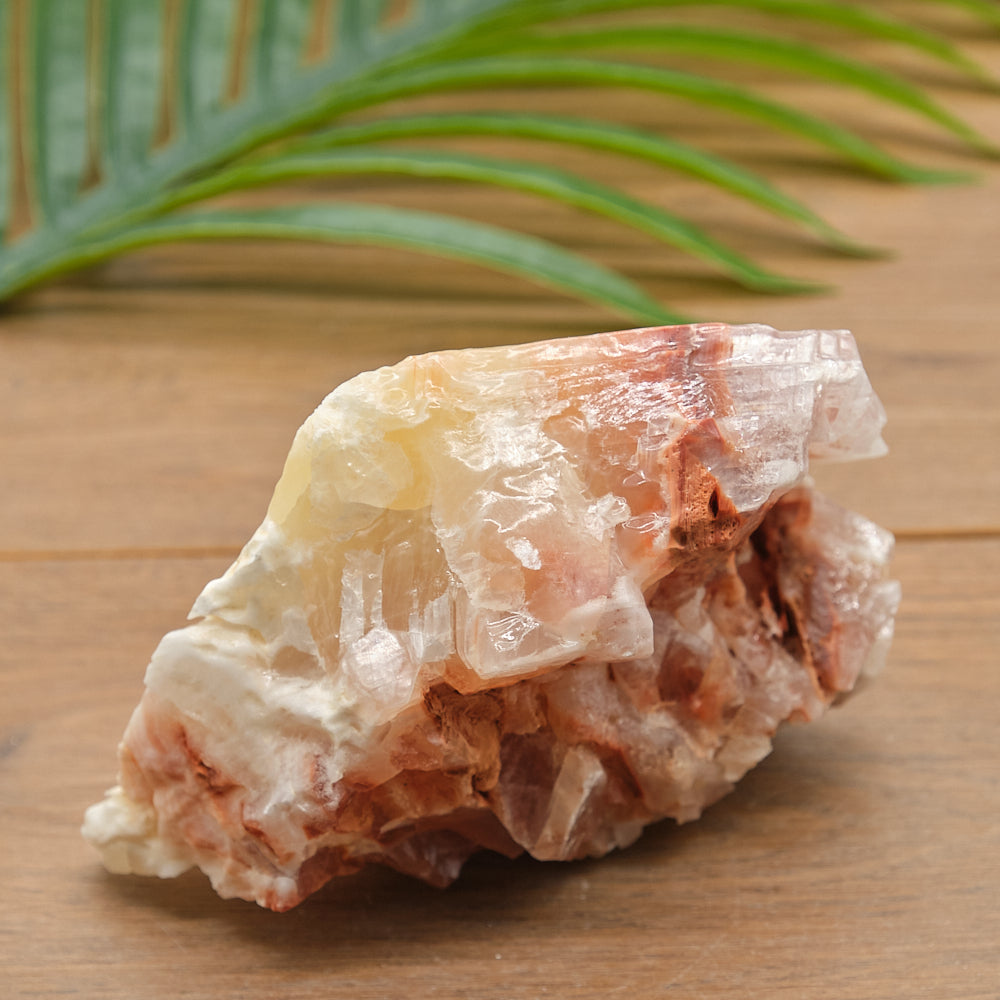 yellow red Crystal calcite on a wooden surface with green leaves in the background