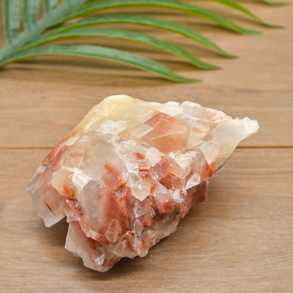 calcite rock on a wooden surface with green leaves in the background