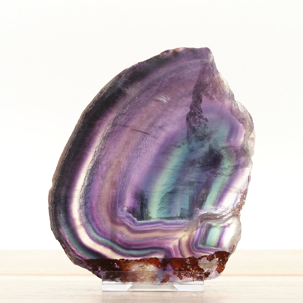 purple green fluorite crystal slice stone on a white background