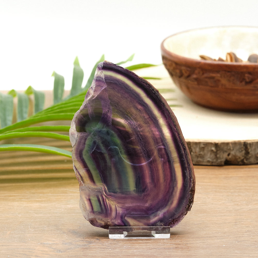 purple green fluorite crystal on a wooden surface with a plant and bowl in the background