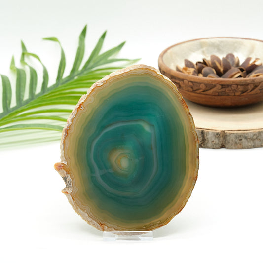 large green agate slice on white background