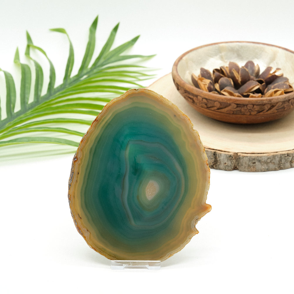 large green agate slice