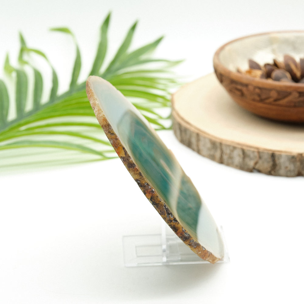 Large Green Agate Slice With Stand