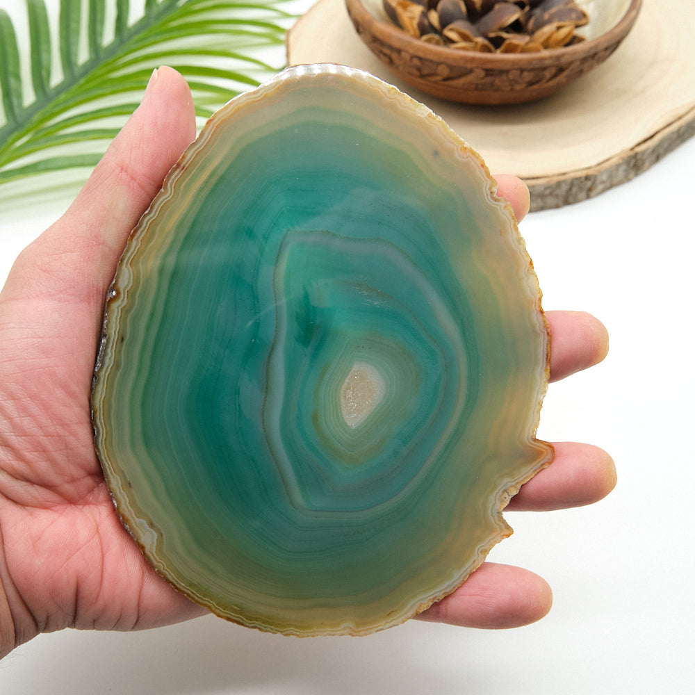 Large Green Agate Slice With Stand