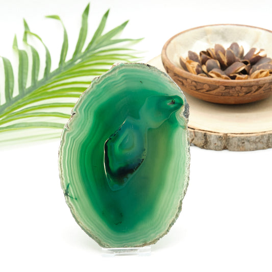 large green agate slice with stand on white background