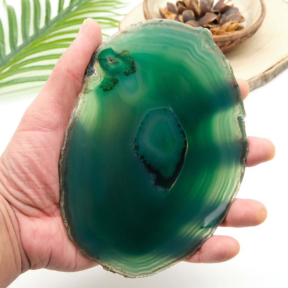Large Green Agate Slice With Stand 6 x 4.5 Inch