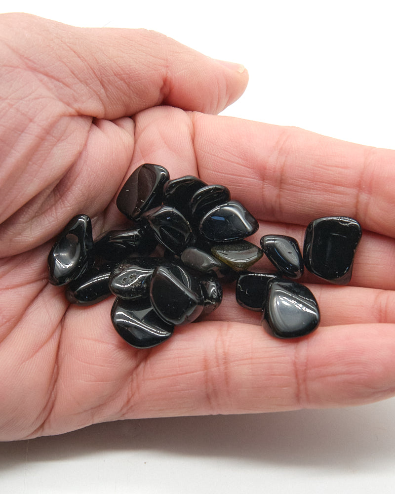 Hand holding a small pile of Black Obsidian stones against a white background