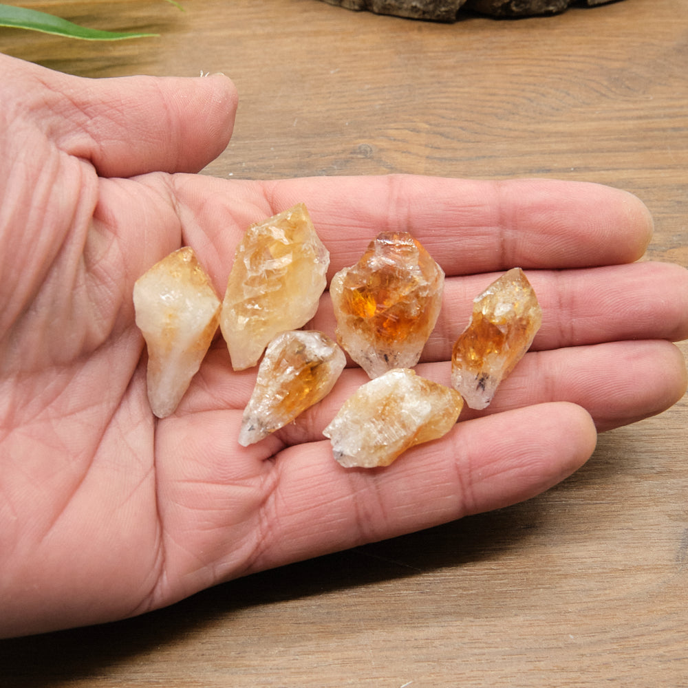 Hand holding several citrine points crystal rocks on a wooden surface