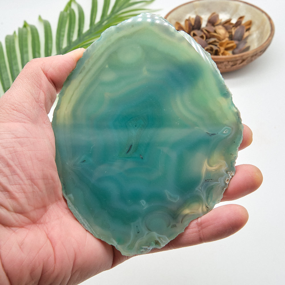 Large Green Agate Slice With Stand