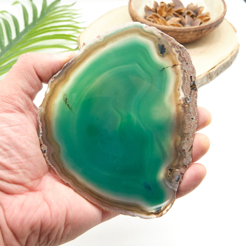 Large Green Agate Slice With Stand