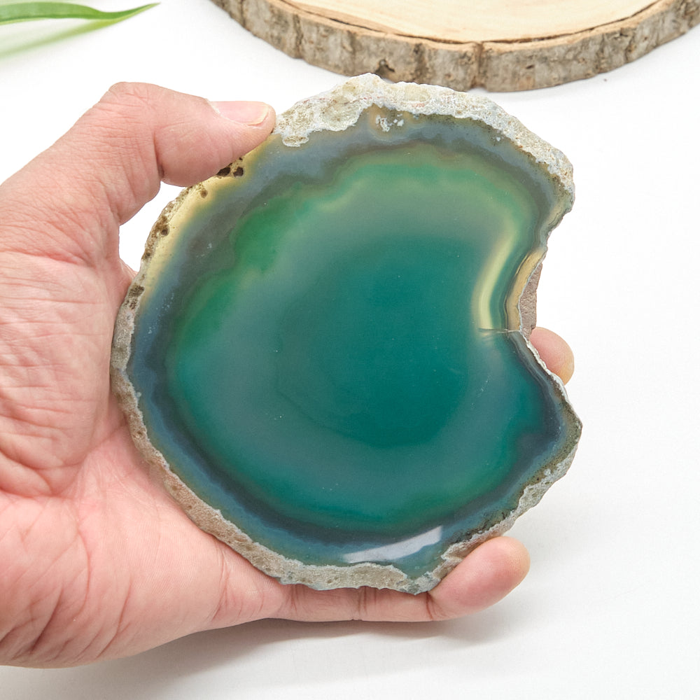 Large Green Agate Slice With Stand