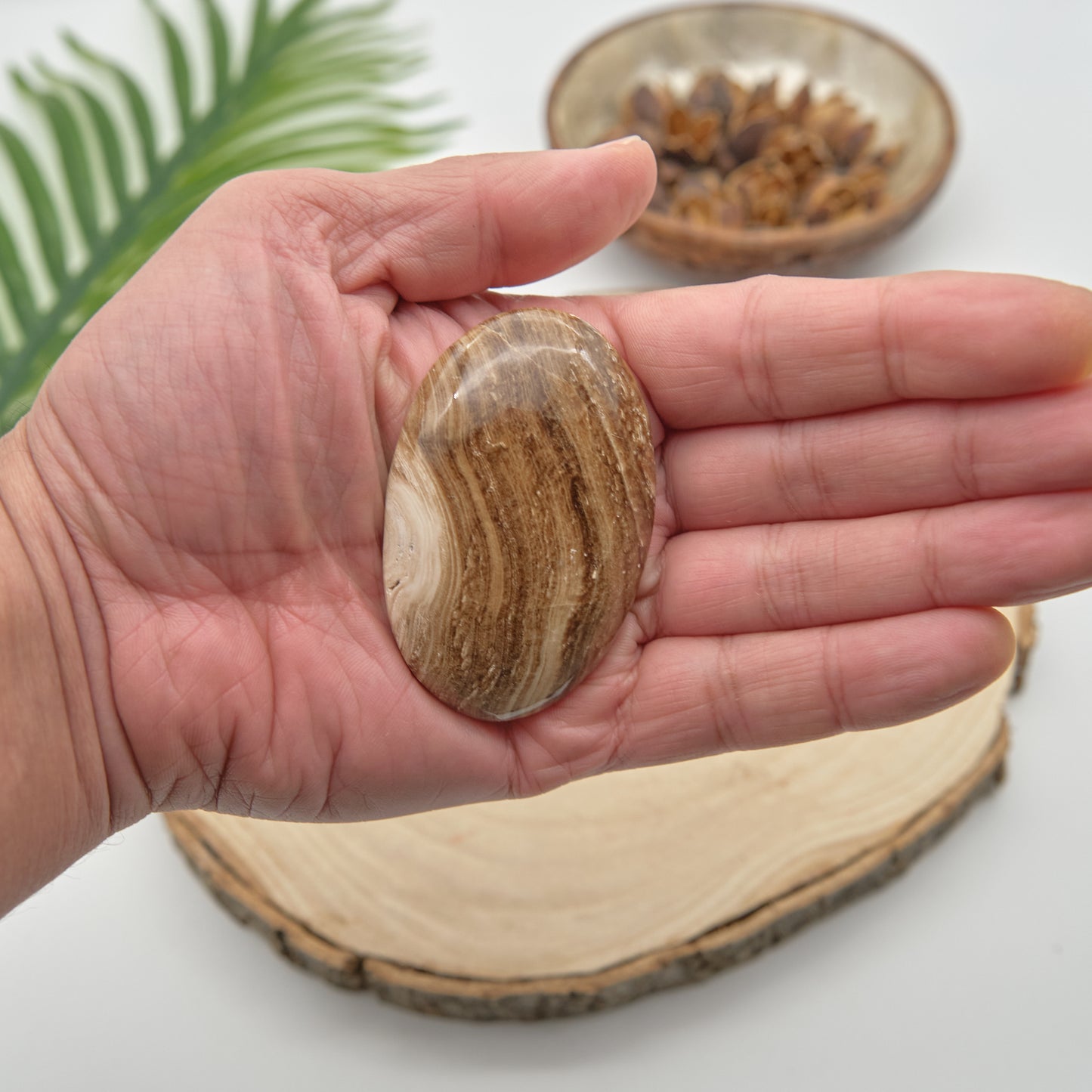 chocolate calcite palmstone brown crystal