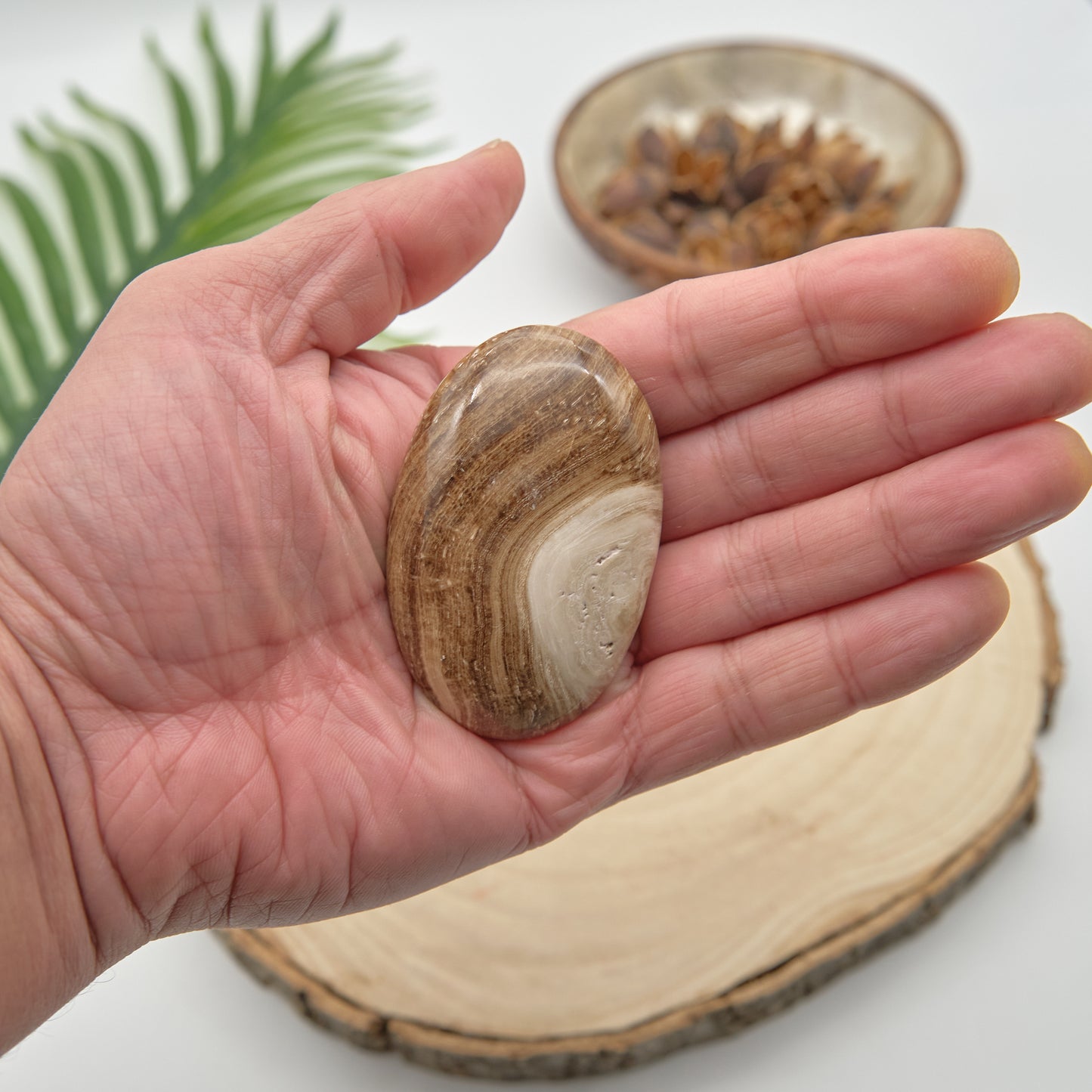 chocolate calcite palmstone brown crystal