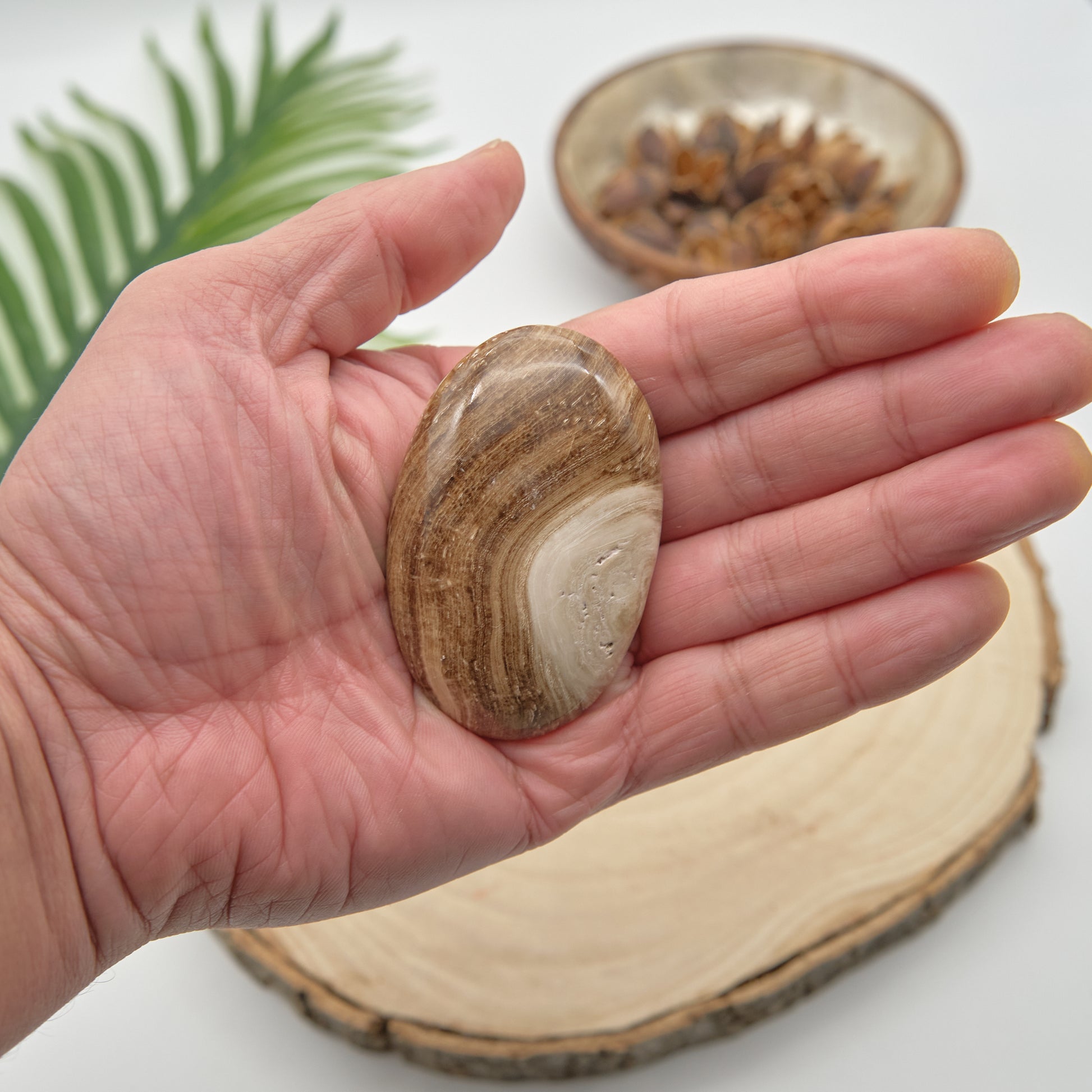 chocolate calcite palmstone brown crystal