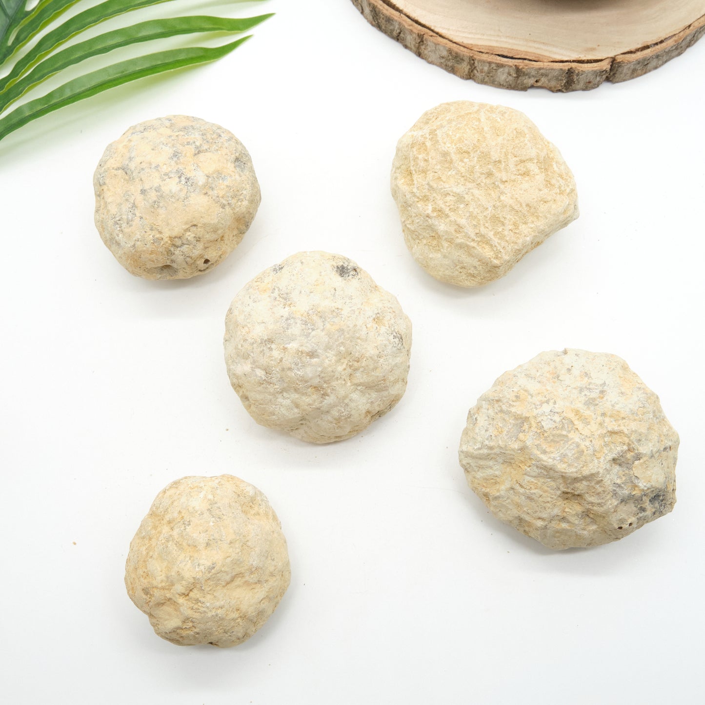 large break your own geodes with white quartz inside
