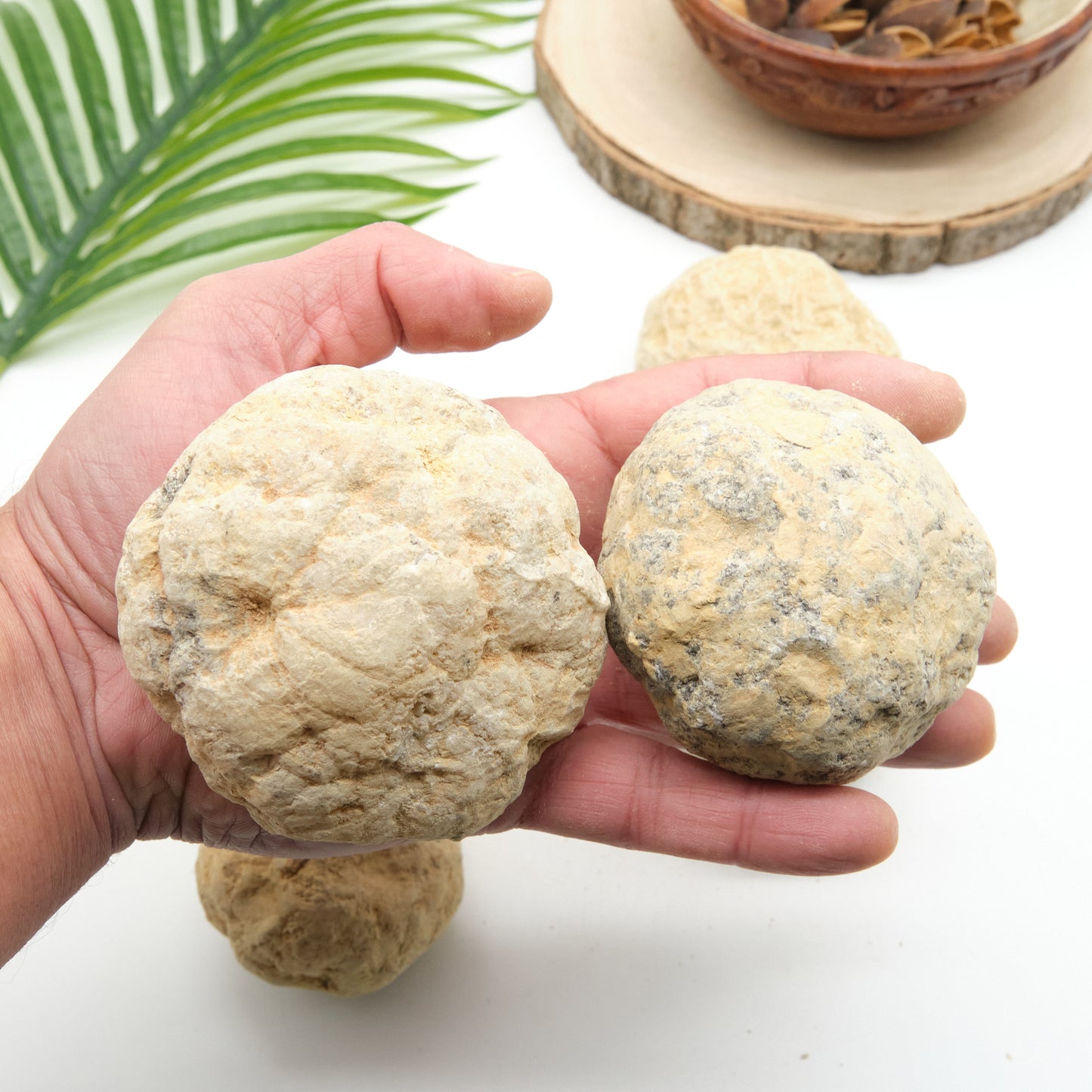 large break your own geodes with white quartz inside