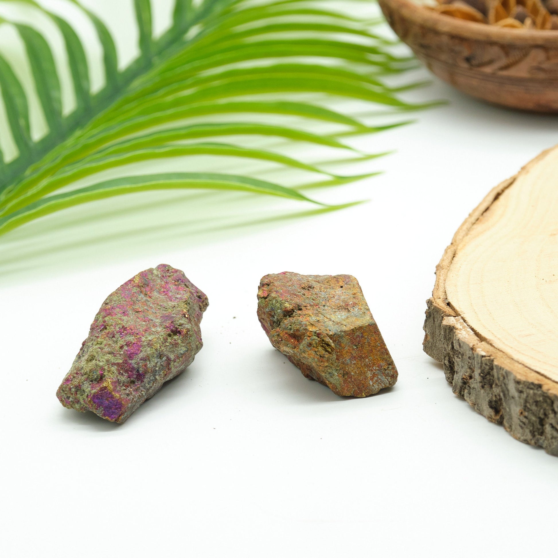 Natural Peacock Ore Chalcopyrite  2 Pieces  Pure Serenity