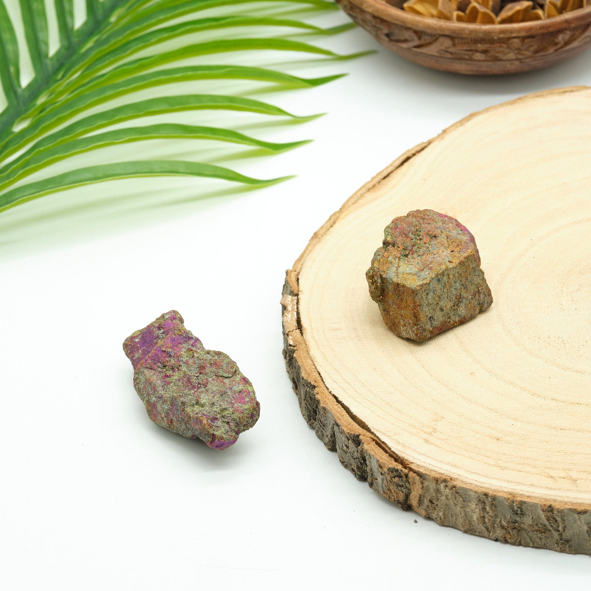 Natural Peacock Ore Chalcopyrite  2 Pieces  Pure Serenity