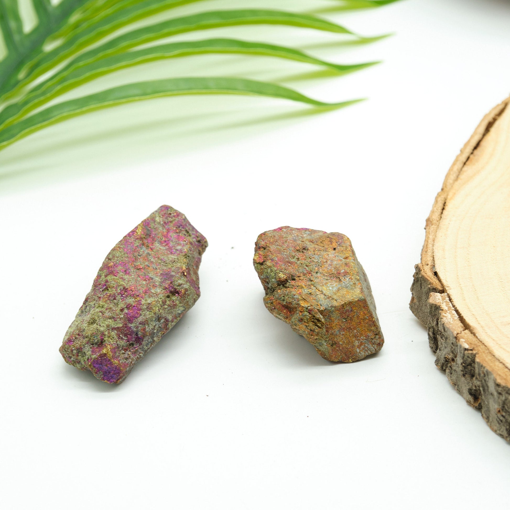 Natural Peacock Ore Chalcopyrite  2 Pieces  Pure Serenity