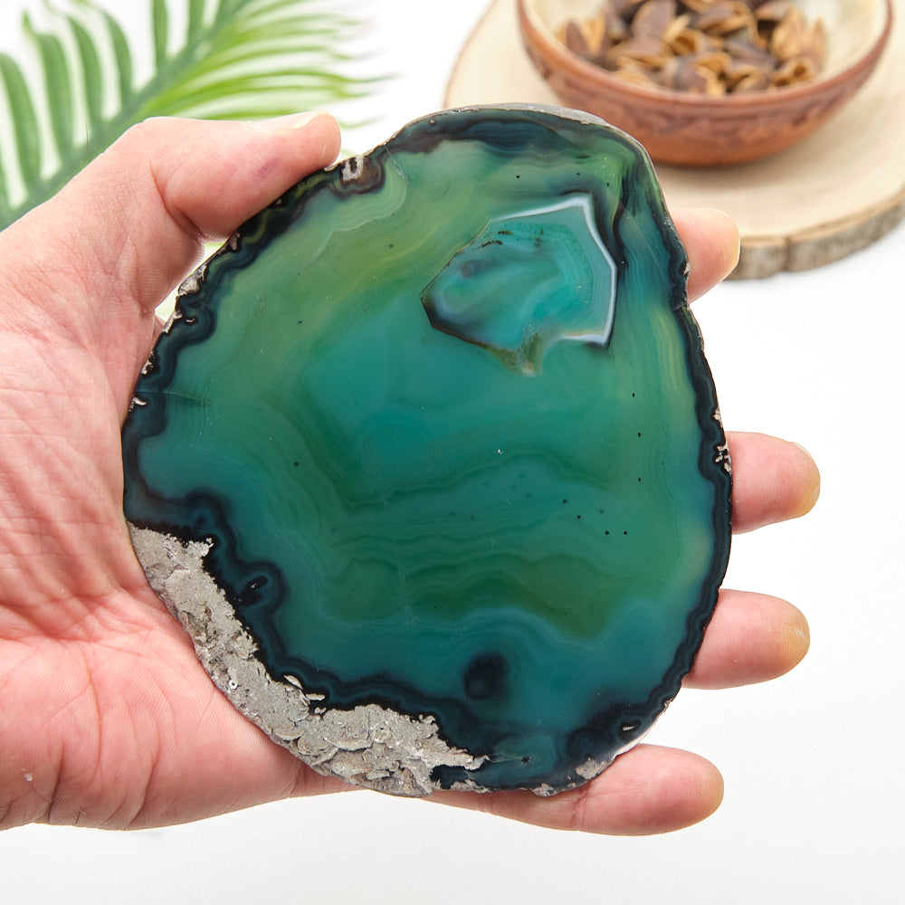 Hand holding a large green agate stone with a blurred background
