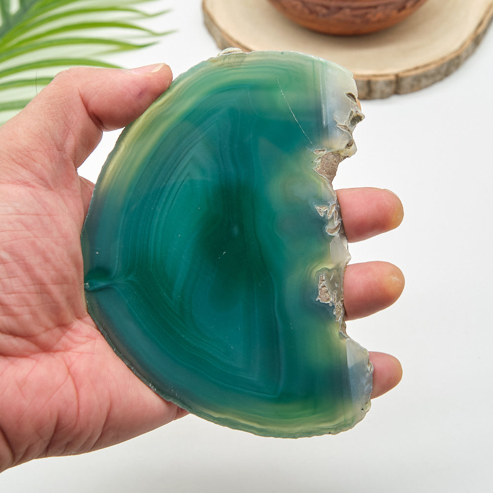 Large Green Agate Slice With Stand