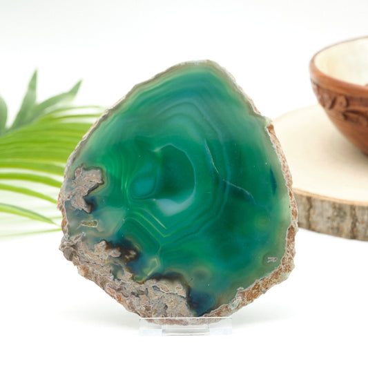 Large Green Agate Slice With Stand