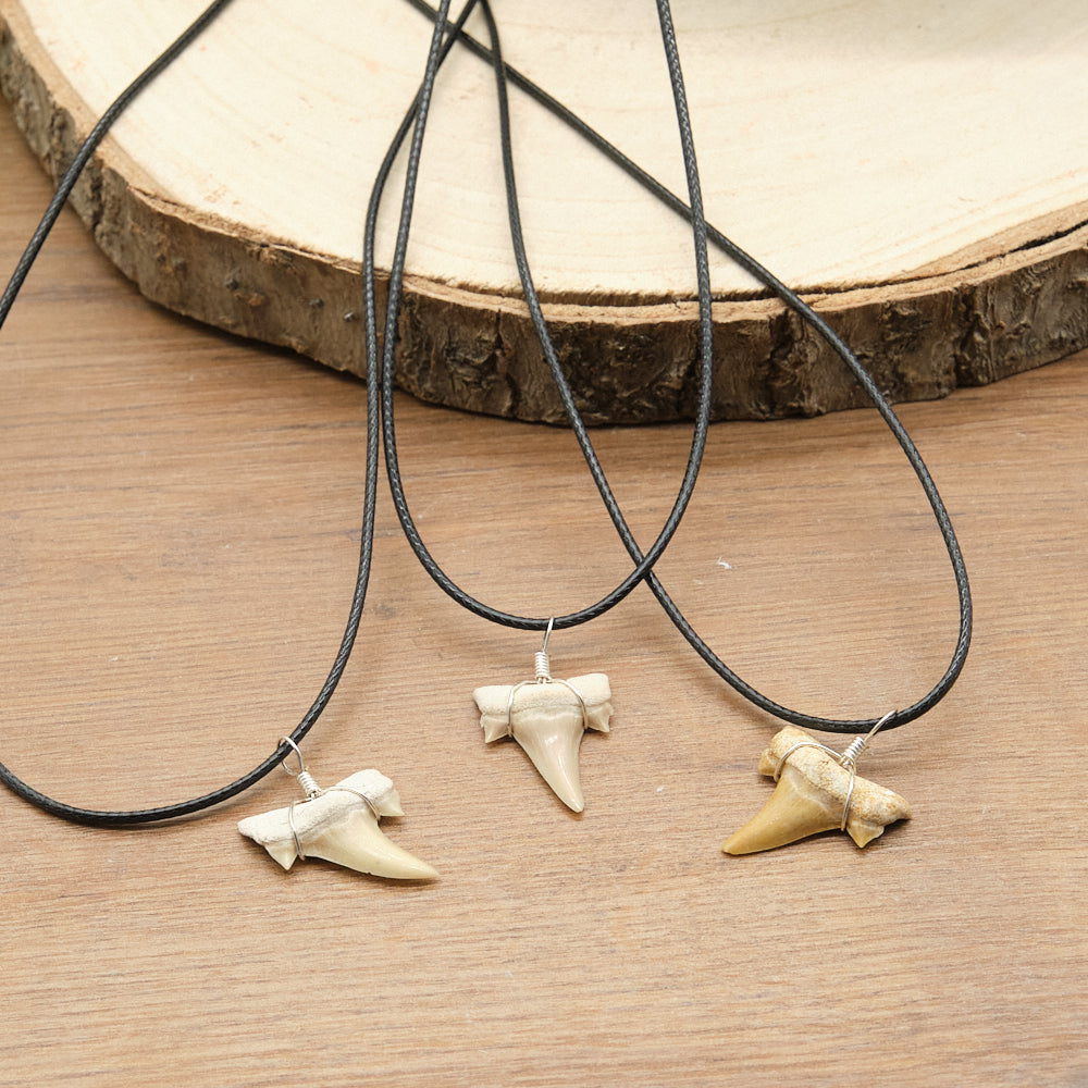 Genuine Otodus Shark Tooth Necklace x 1 Piece
