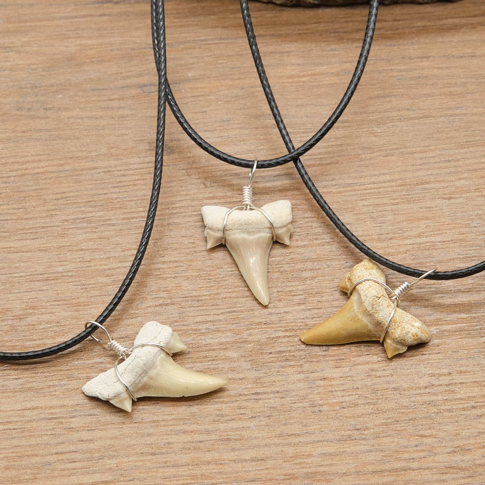 Genuine Otodus Shark Tooth Necklace x 1 Piece