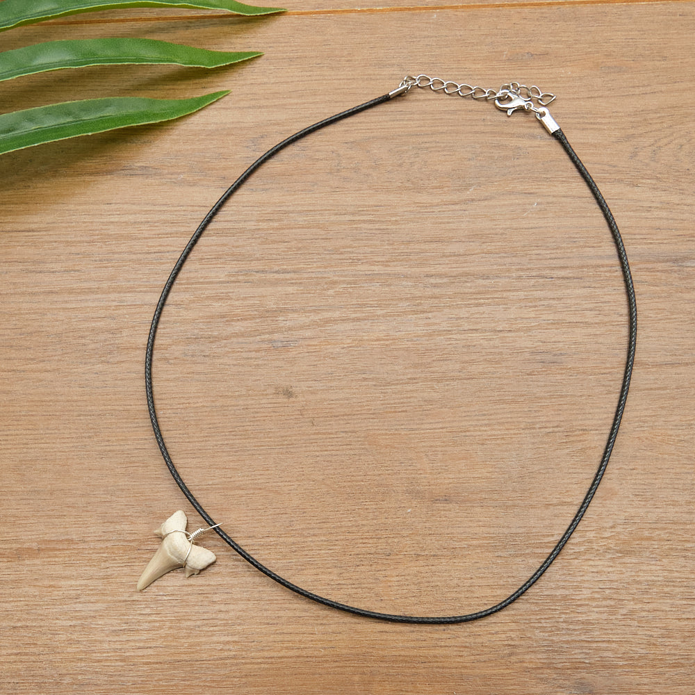 Genuine Otodus Shark Tooth Necklace x 1 Piece