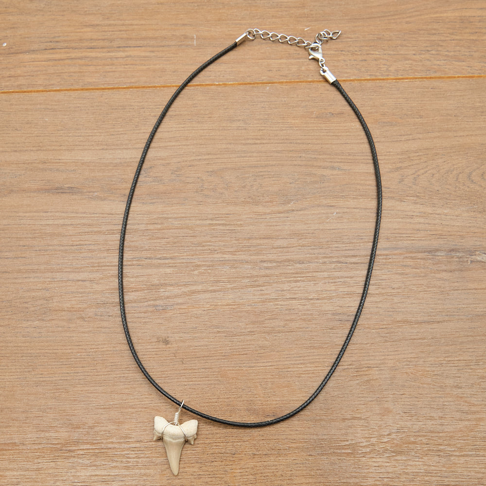 Genuine Otodus Shark Tooth Necklace x 1 Piece