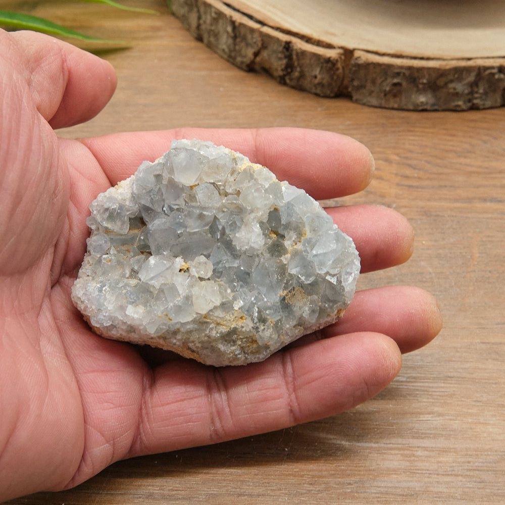 Hand holding a  celestite crystal rock on a wooden surface